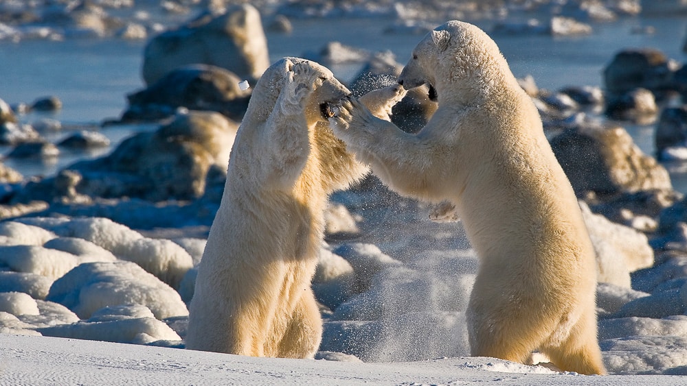 Seal River Lodge, Canada © Churchill Wild
