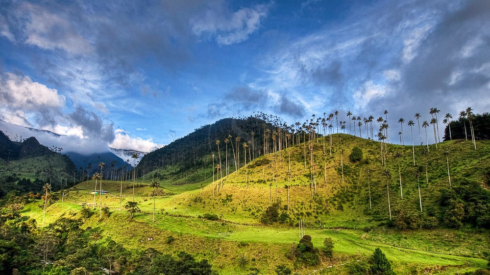 Hacienda Bambusa, Colombie