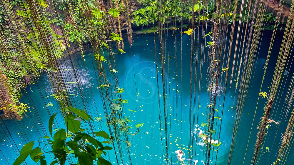 Cenotes du Yucatan, Mexique