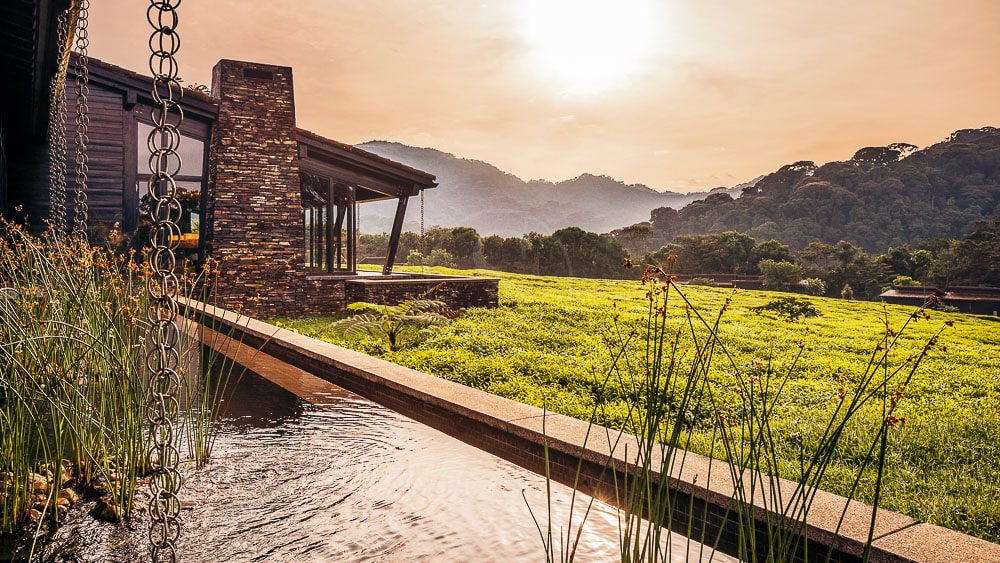 Nyungwe House, Rwanda © One & Only