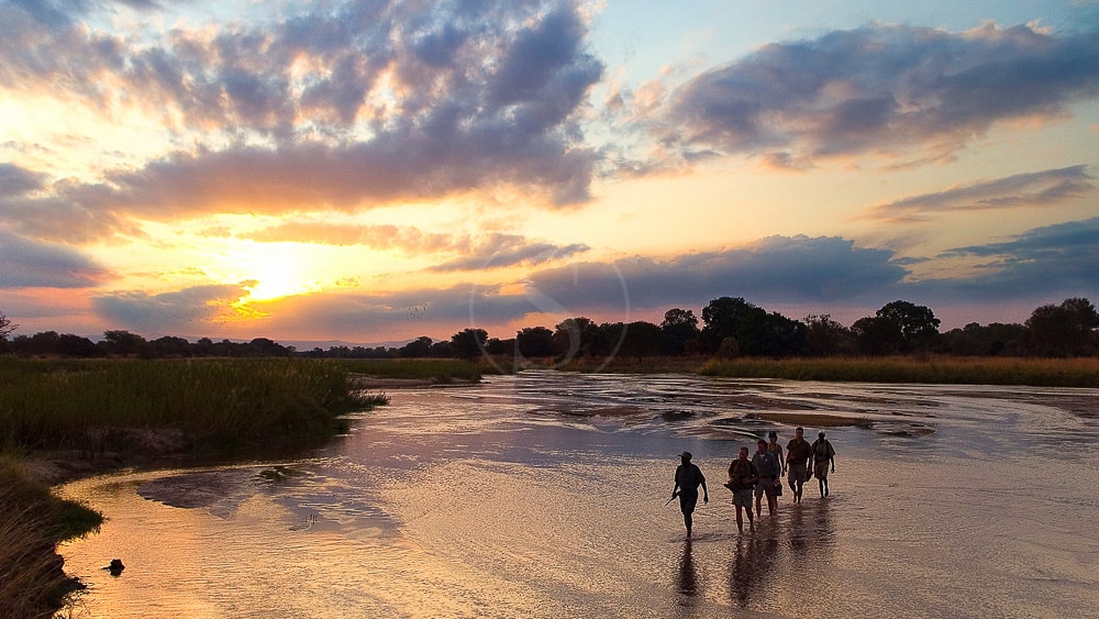 Safari à South Luangwa, Zambie © Robin Pope Safaris