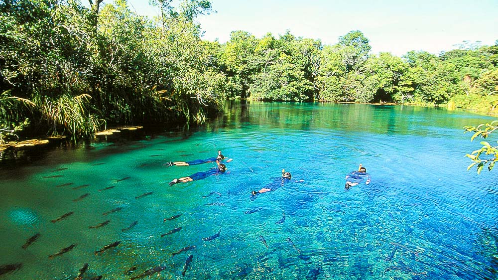 Rio da Prata à Bonito, Brésil