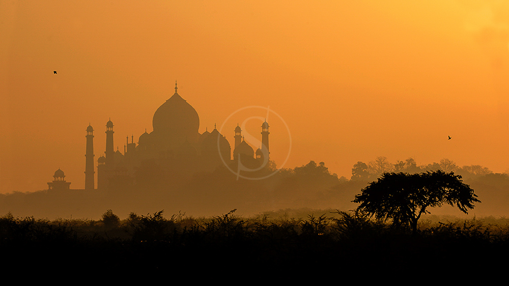 01inde_pons_263