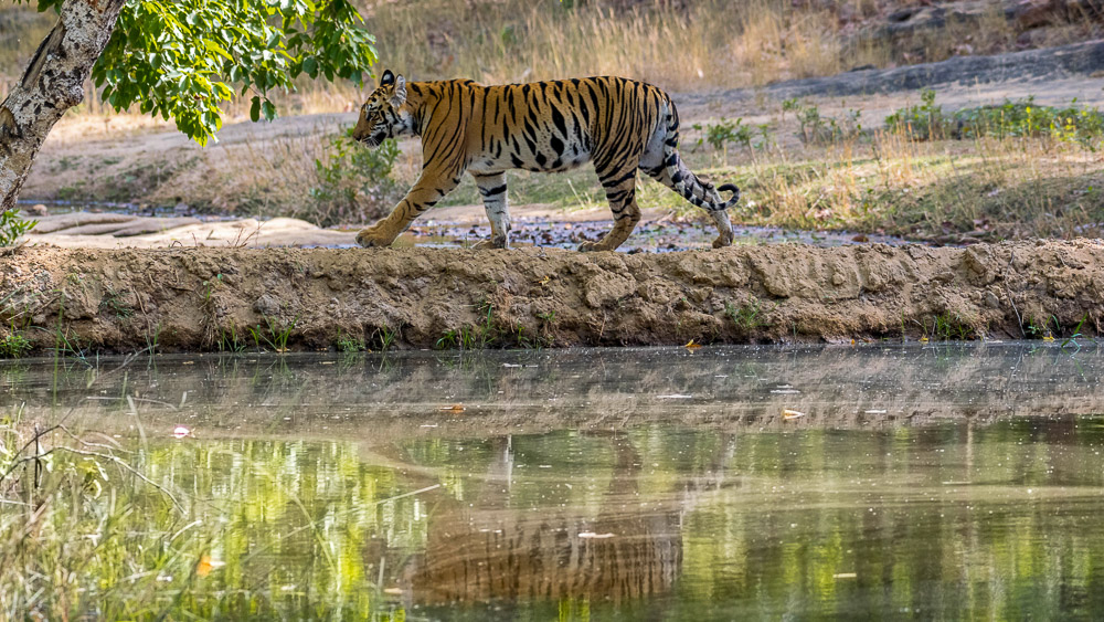 Parc de Nagarhole, Inde