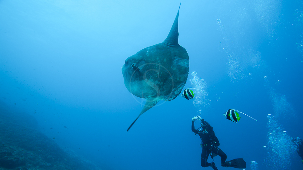 Nusa Penida, Indonésie