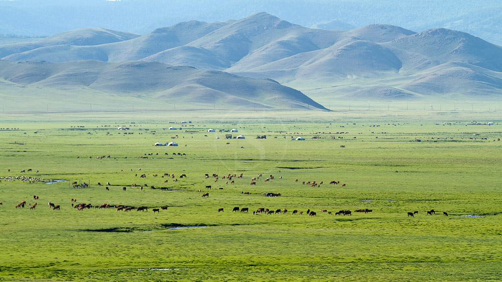Ambiance de la steppe mongole, Mongolie