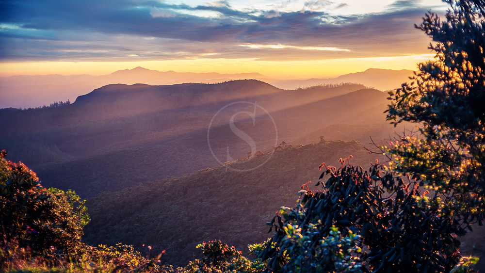 Parc national de Horton Plains, Sri Lanka © Shutterstock