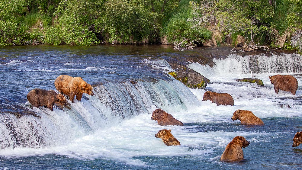 Katmai, Alaska, Etats-Unis © Shutterstock