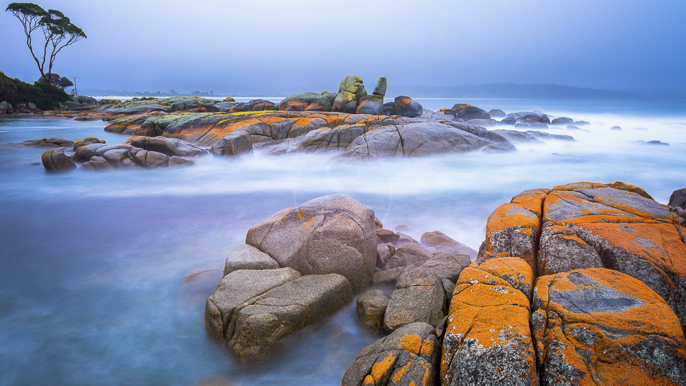Tasmanie, Australie © Shutterstock