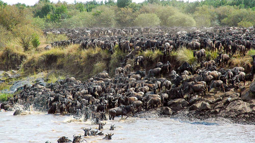 Safari en Tanzanie © &Beyond