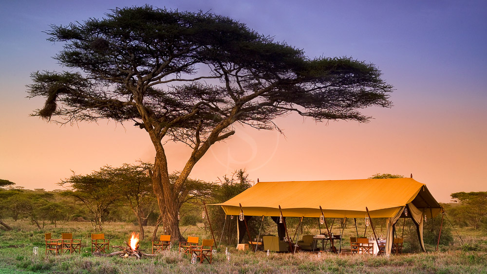 Serengeti Under Canvas, Tanzanie © &Beyond