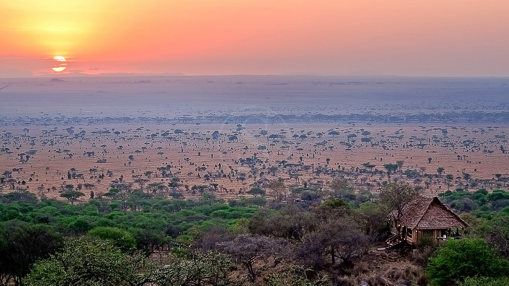 Pioneer Camp Serengeti, Tanzanie