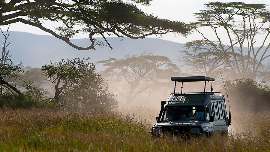 Ambiance de safari, Tanzanie © Alain Pons