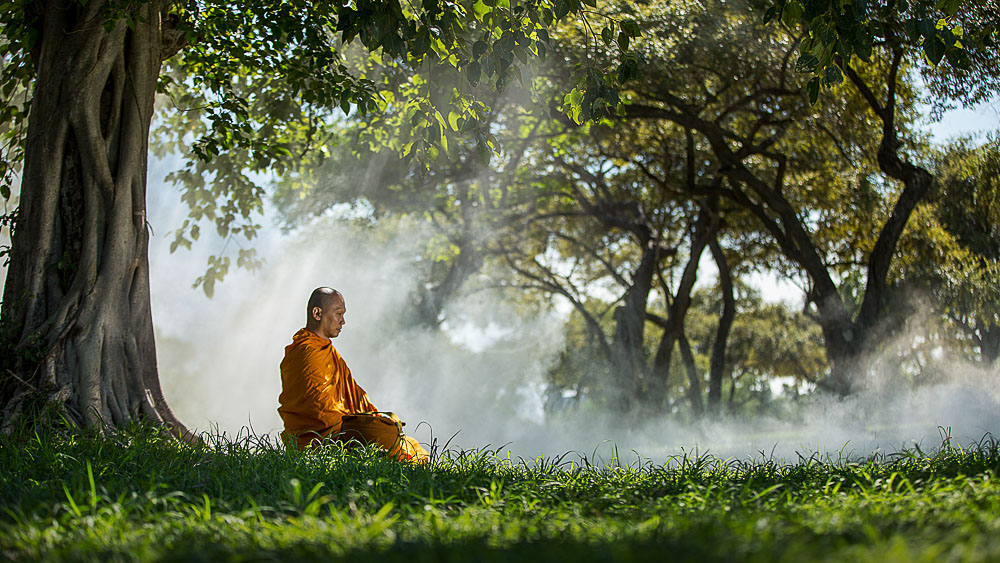 Région de Ayutthaya, Thailande © Shutterstock