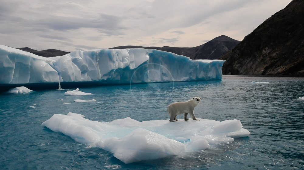 Expédition en Terre de Baffin, Canada © AK - tous droits réservés