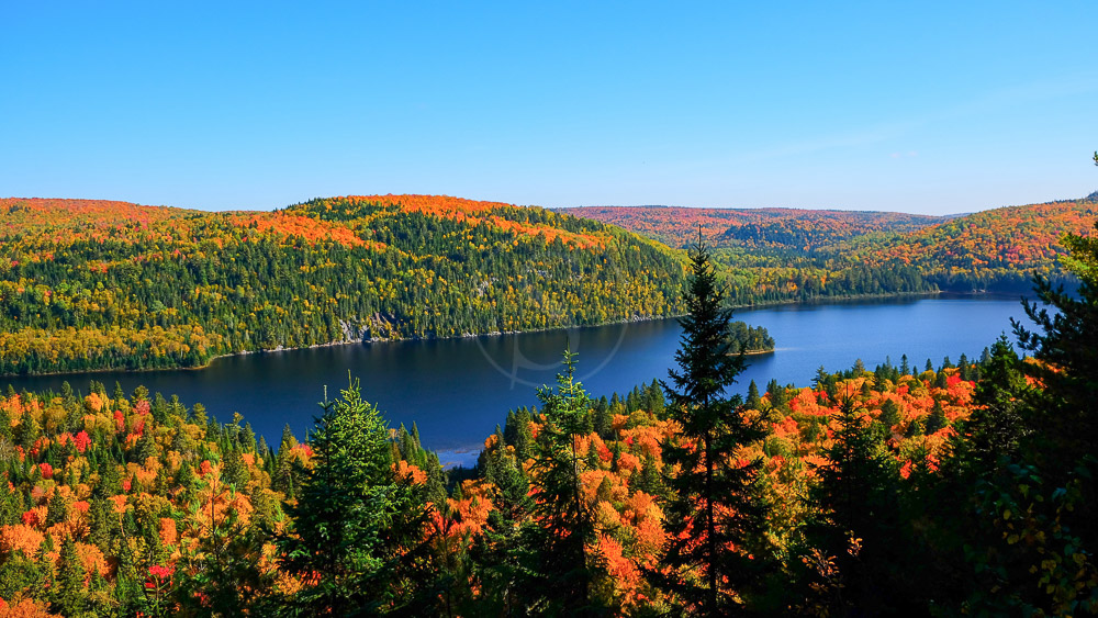 Parc National de Mauricie au Québec, Canada