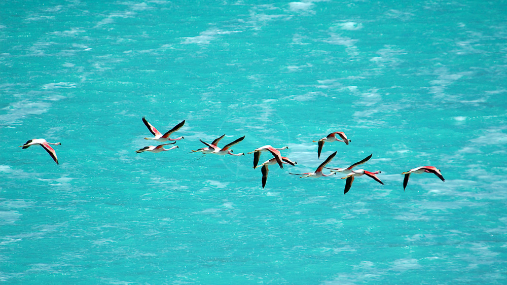 Laguna Verde, Bolivie © Alain Pons