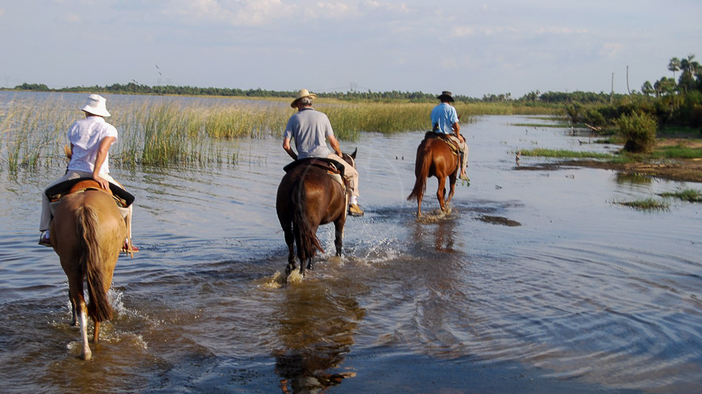 Ibera Esteros, Argentine
