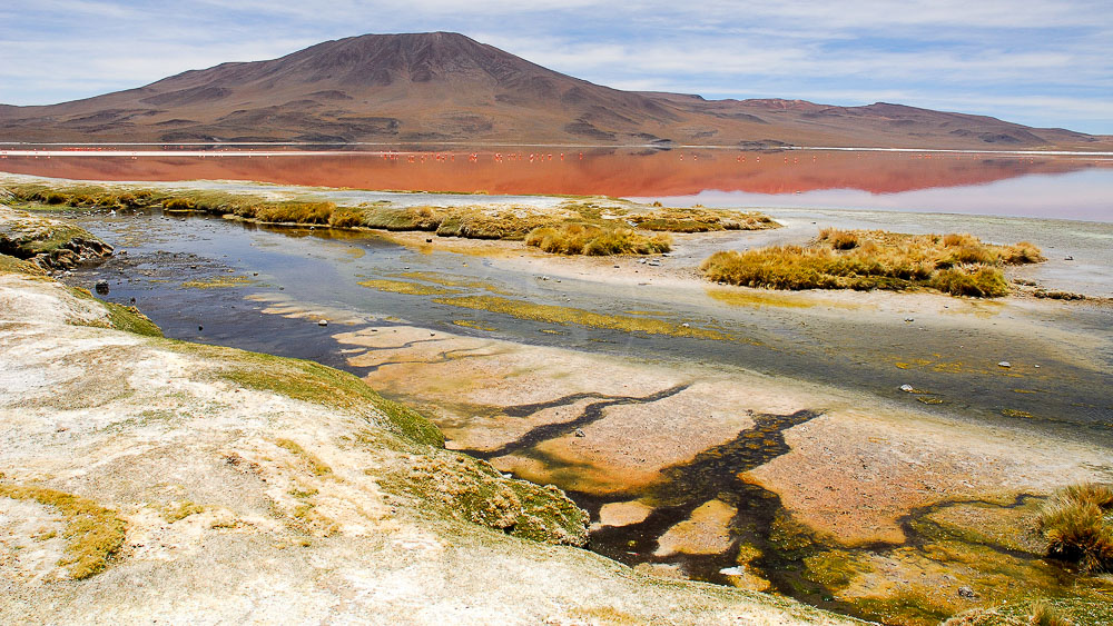 Laguna Colorada, Bolivie © Alain Pons