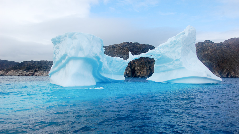 Voyage Canada Ours polaires et glaciers a Baffin Etendues Sauvages