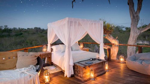 Safari de luxe en Afrique du Sud lors d'un voyage sur mesure, par Etendues Sauvages