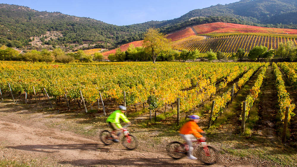 Clos Apalta, Chili © Clos Apalta