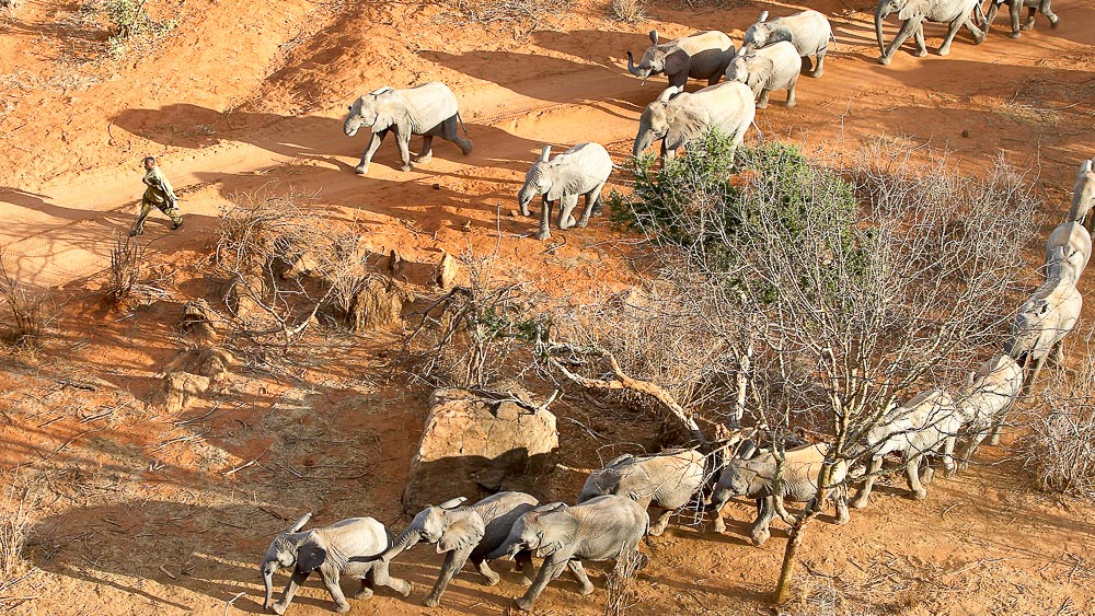 01kenya_ithumba_tsavo_005