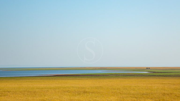 ZIMBABWE 2019, scouting trip