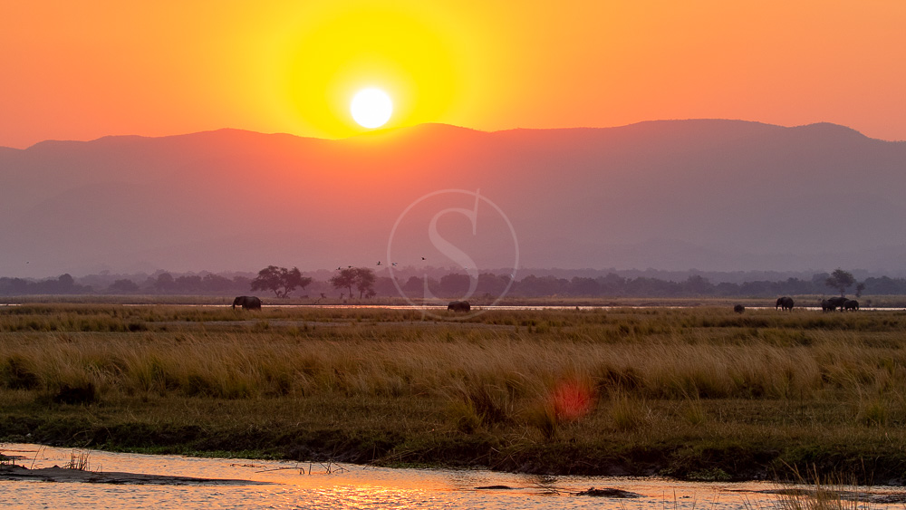 Mana Pools, Zimbabwe © Etendues Sauvages