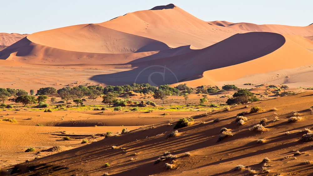 Dunes de Sossusvlei dans le Désert du Namib