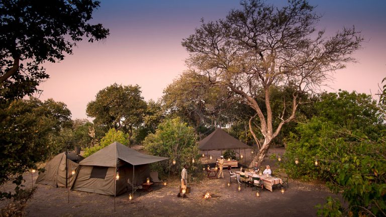 Luxury Bivouac Safaris in Africa