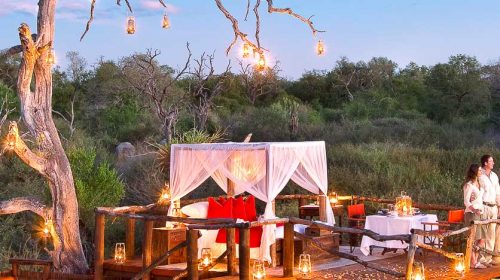 Voyage de Noces en Afrique du sud © More Properties
