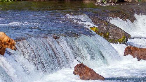 Voyage de luxe en Alaska