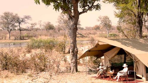 Safari en Afrique, Selinda Explorer Camp, Botswana © Great Plains Conservancy