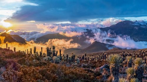Voyage de luxe en Colombie
