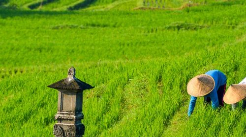 Voyage de luxe à Bali