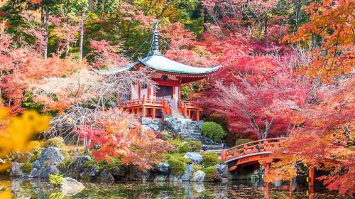 Voyage de luxe au Japon