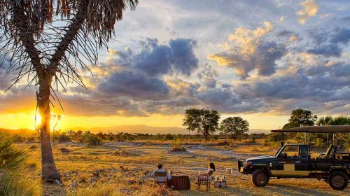 Safari de luxe au Kenya
