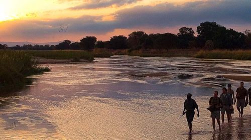 Safari de luxe en Zambie