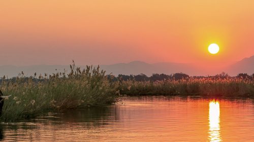 Safari de luxe au Zimbabwe