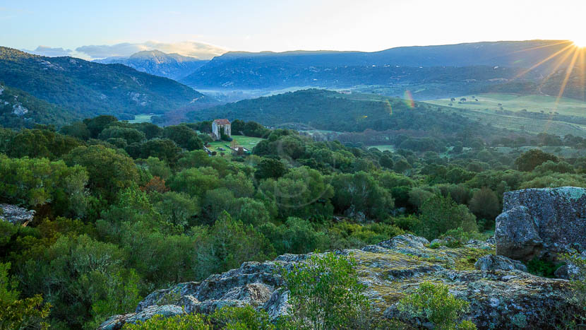France, Corse du Sud (2A), Domaine de Murtoli, maison A Figa