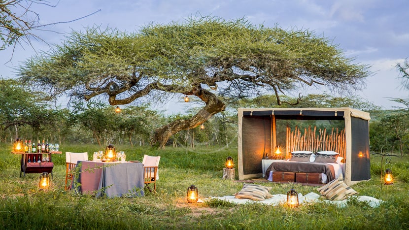 Mwiba Lodge, Tanzanie © Mwiba Lodge
