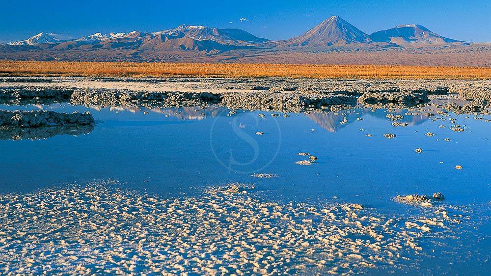 Laguna Cejar, Chili © Tierra Atacama