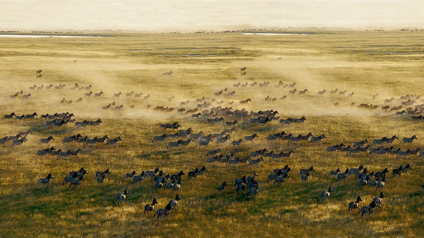 Jack's Camp, Botswana © Natural Selection