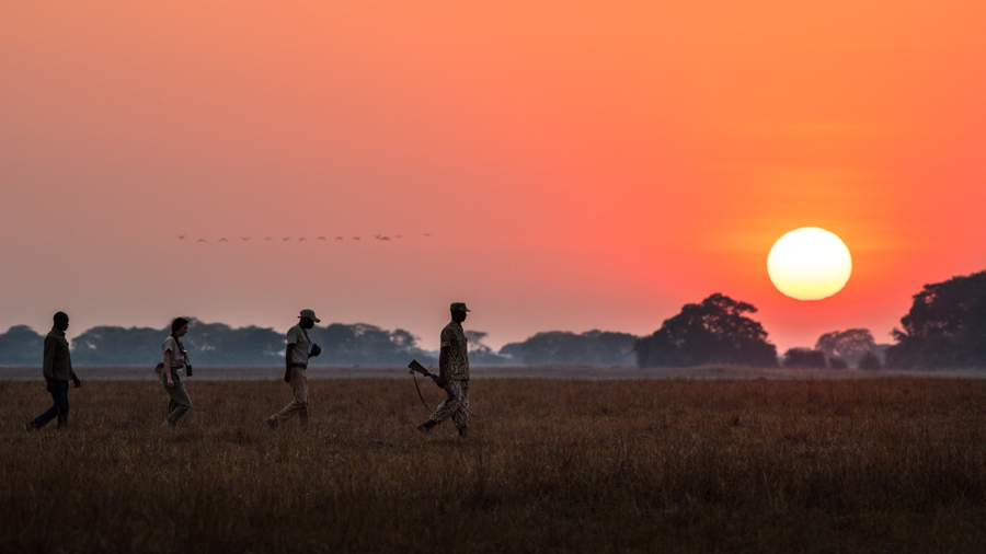 Chisa Busanga, Zambie © Green Safaris