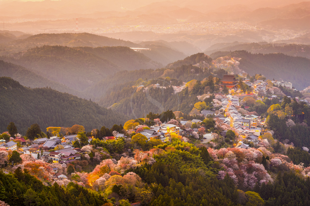 japon_sstock_001
