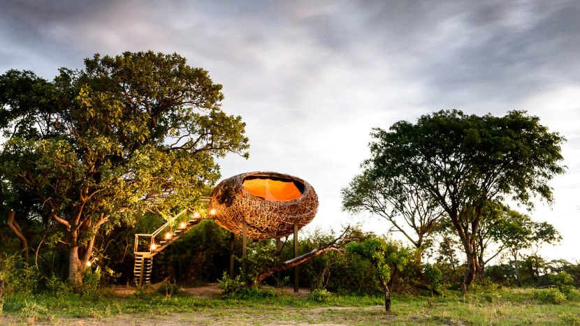 Chisa Busanga, Zambie © Green Safaris