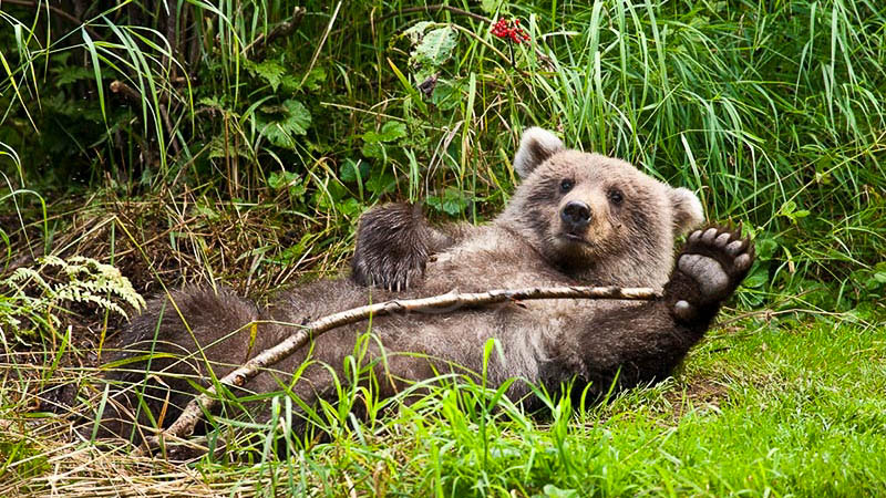 Redoubt Bay Lodge, Alaska