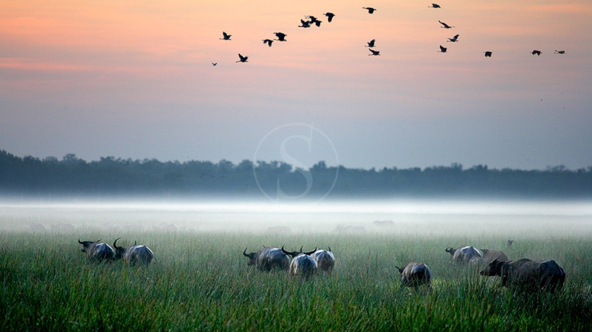 Bamaru Plains, Australia © Bamaru Plains