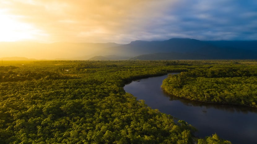 Forêt Amazonienne, Brésil © Shutterstock